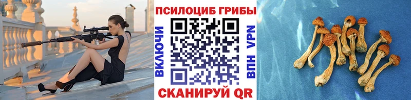 Псилоцибиновые грибы мицелий  мориарти телеграм  mega онион  Иркутск  продажа наркотиков 